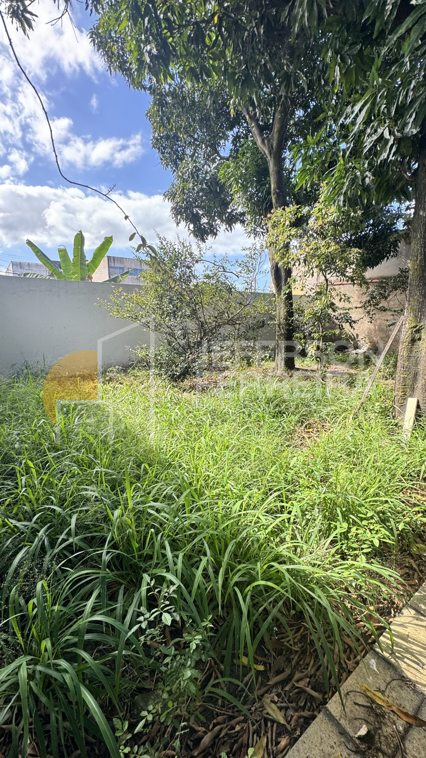 Casa Linear - Laranjeiras - Imagem 11